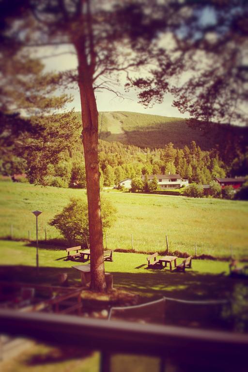 Dovrefjell Hotel Dombås Extérieur photo